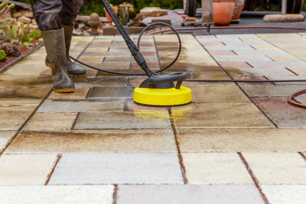 Best Pre-Holiday Cleaning  in Mono Vista, CA